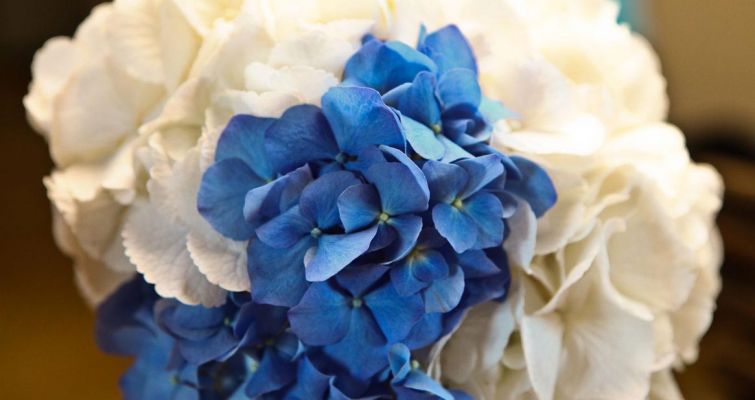 00007-bouquet7C766A47-9848-7CF0-2BA5-FF7245FBD75A.jpg