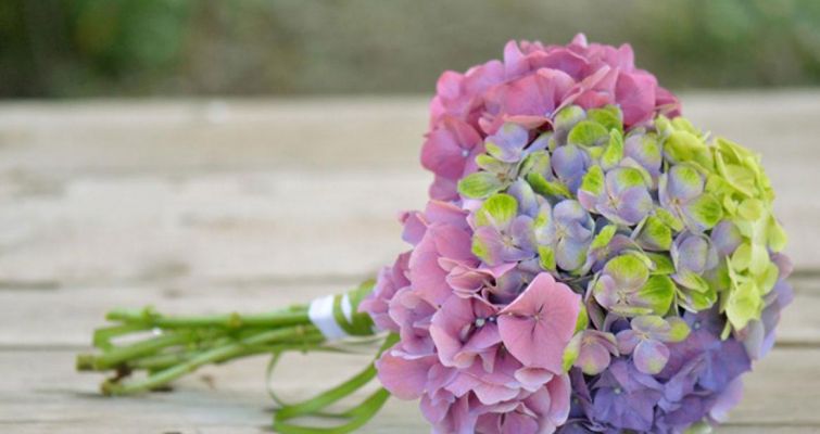 00009-bouquet581C0BAE-FE06-9A7B-D0F7-3483CEA2612E.jpg