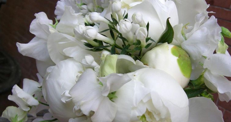 00012-bouquet830A77C1-A0C3-55D9-E36F-F8B70EC91D14.jpg